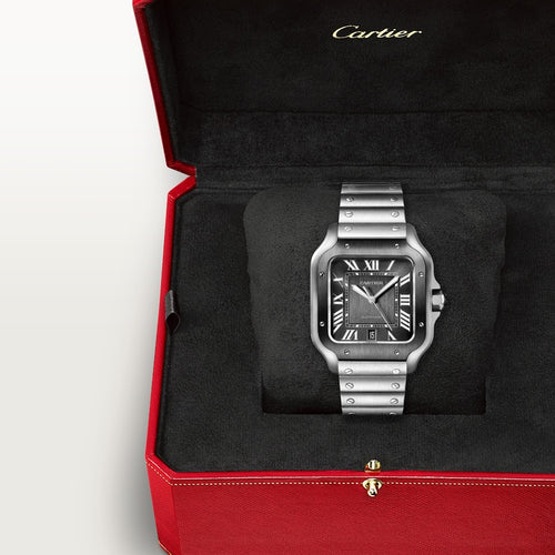 Cartier™ Santos de Cartier Steel Grey Dial